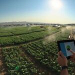 Agadir : agriculture connectée et exportation