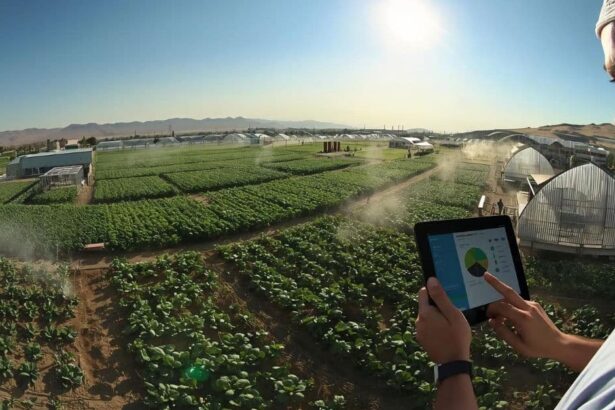 Agadir : agriculture connectée et exportation