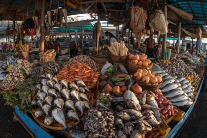 Dakhla accueille la 2e édition de SeaFood 4 Africa