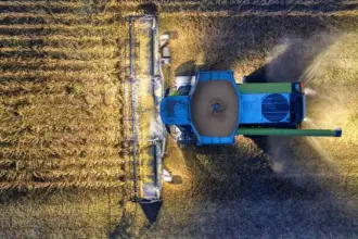 Investir dans l'agriculture bio dans la région du Souss au Maroc