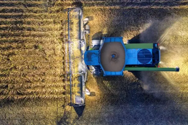 Investir dans l'agriculture bio dans la région du Souss au Maroc