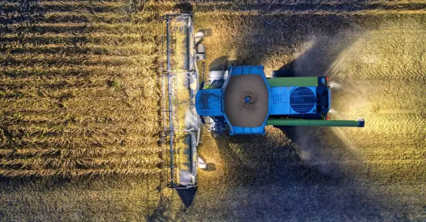 Investir dans l'agriculture bio dans la région du Souss au Maroc