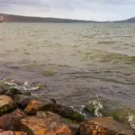 Lagune de Nador : 7 secrets d'un sanctuaire écologique à protéger