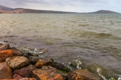Lagune de Nador : 7 secrets d'un sanctuaire écologique à protéger