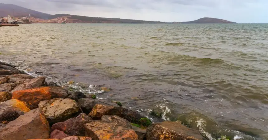 Lagune de Nador : 7 secrets d'un sanctuaire écologique à protéger