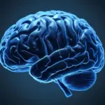 Open Source : Le Maroc doit-il créer son propre LLM (Large Language Model) ?