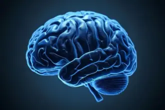 Open Source : Le Maroc doit-il créer son propre LLM (Large Language Model) ?