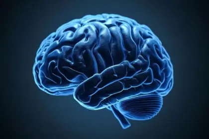 Open Source : Le Maroc doit-il créer son propre LLM (Large Language Model) ?